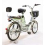 купить Электровелосипед GreenCamel Транк-2 V2 (R20 250W10Ah) Алюм 2-х подвес